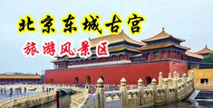 盗撮少妇推油中国北京-东城古宫旅游风景区